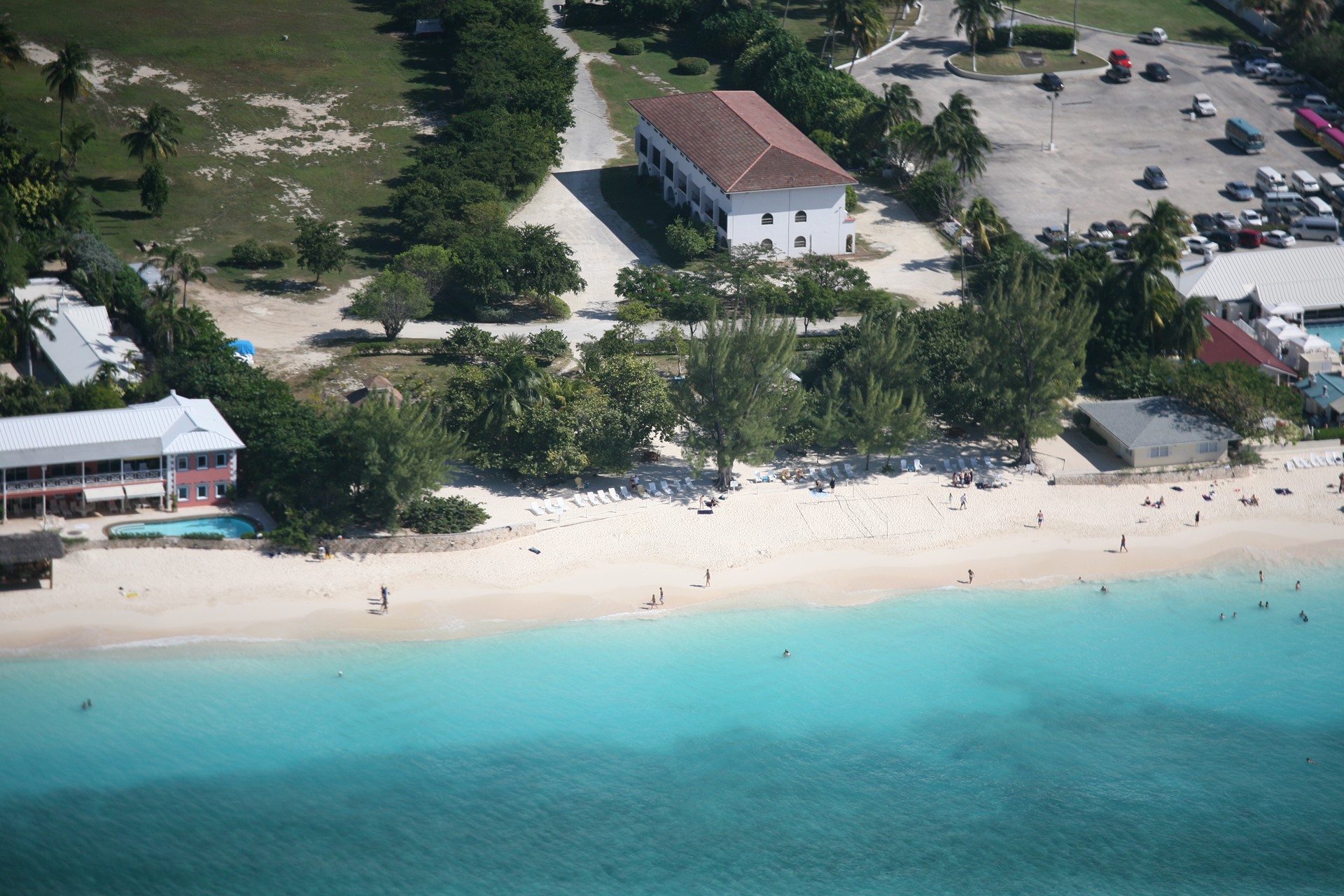 Coral Caymanian