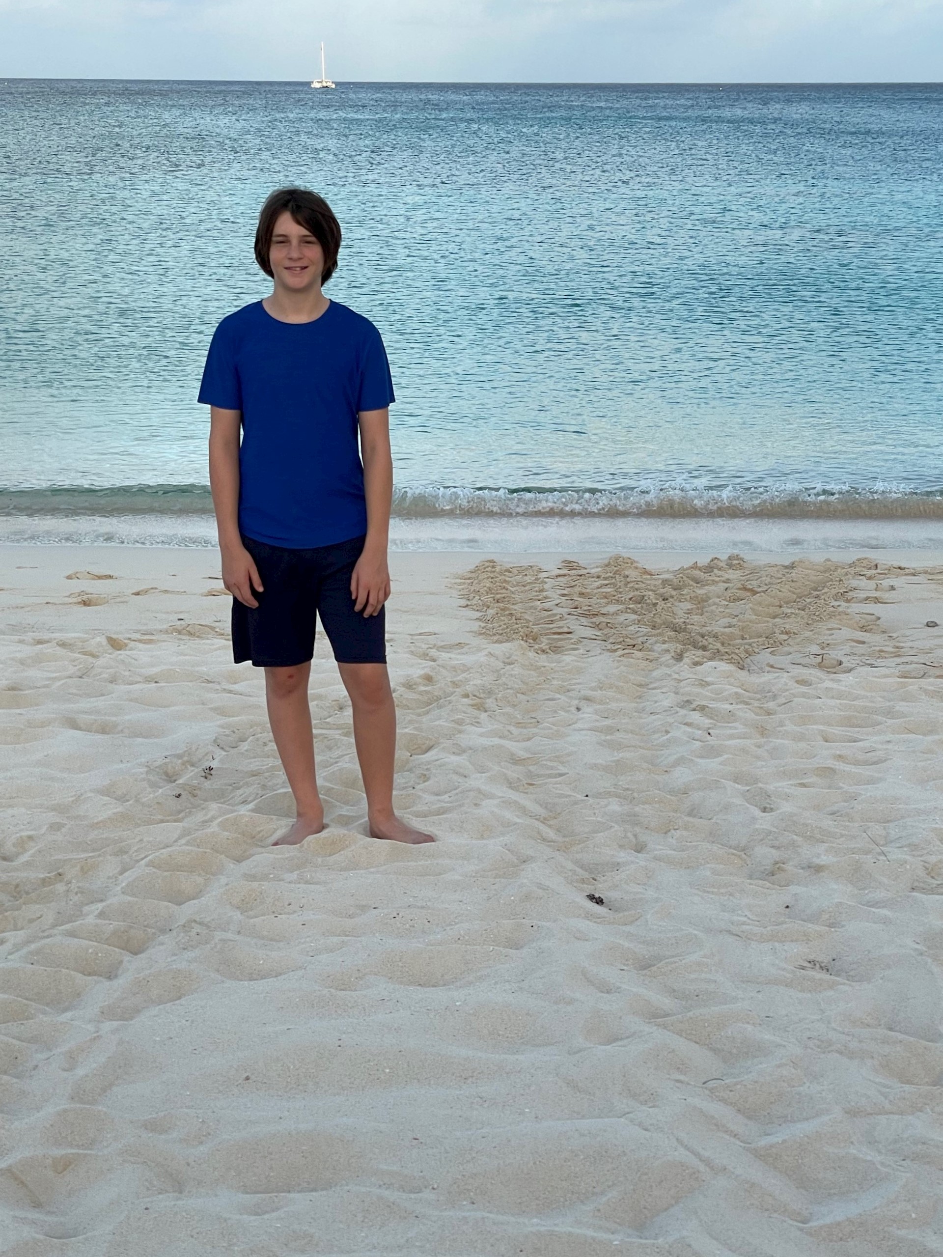 Keeping track of turtle tracks 