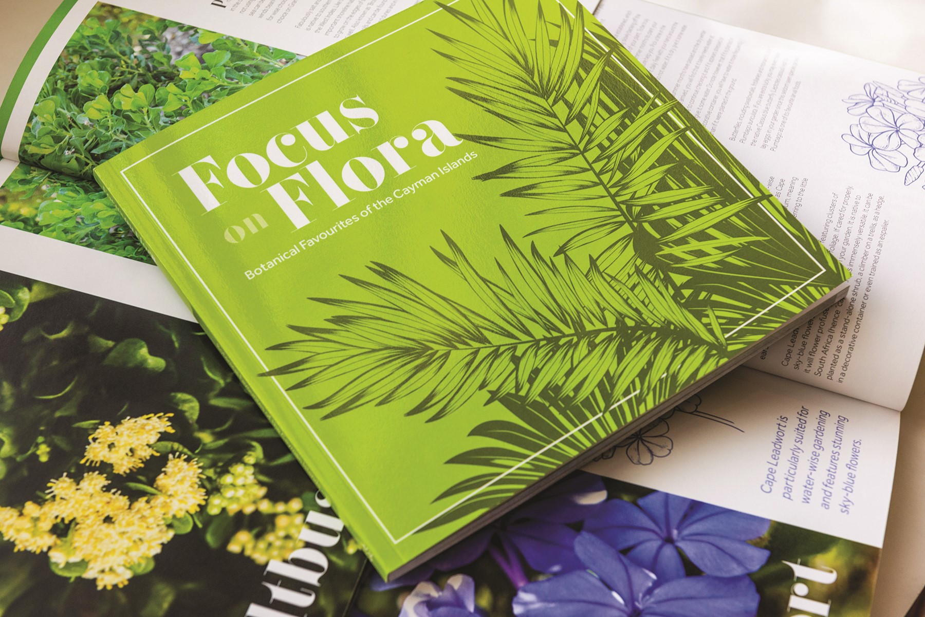 The making of Focus on Flora, the book