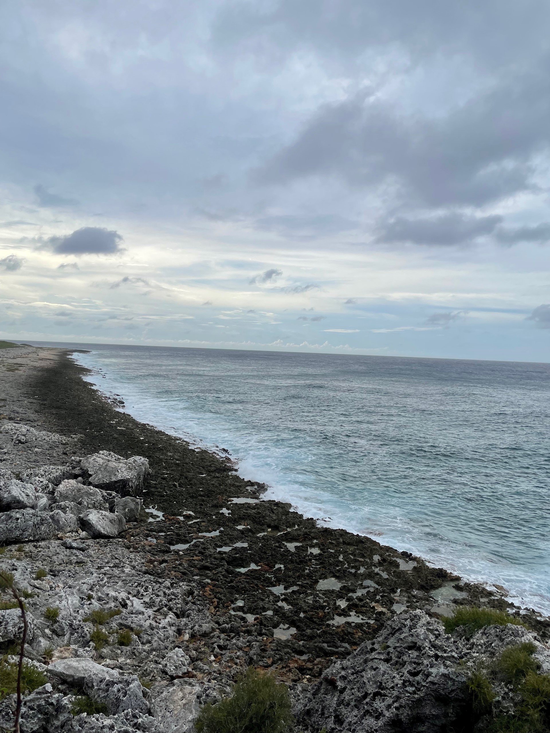 rocky beach