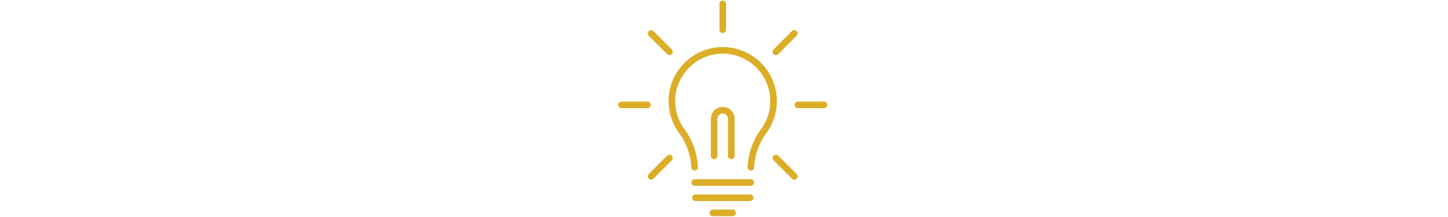 lightbulb icon