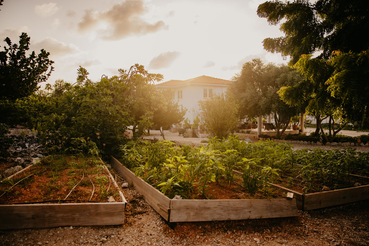 Sunset at the farm at Le Soleil d'Or