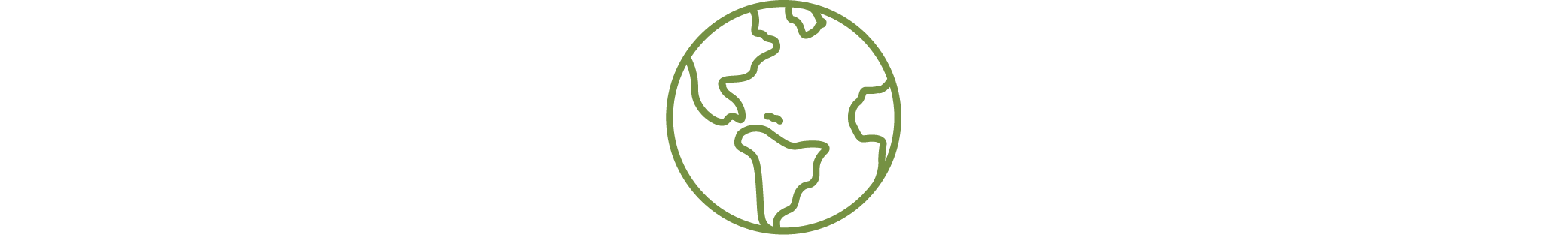 globe icon